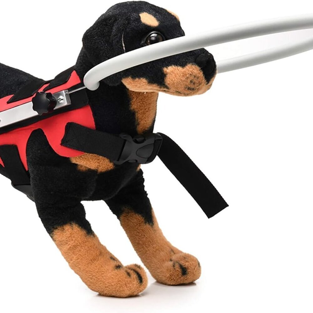 Lightweight Adjustable Blind Ring for Dogs Cats
